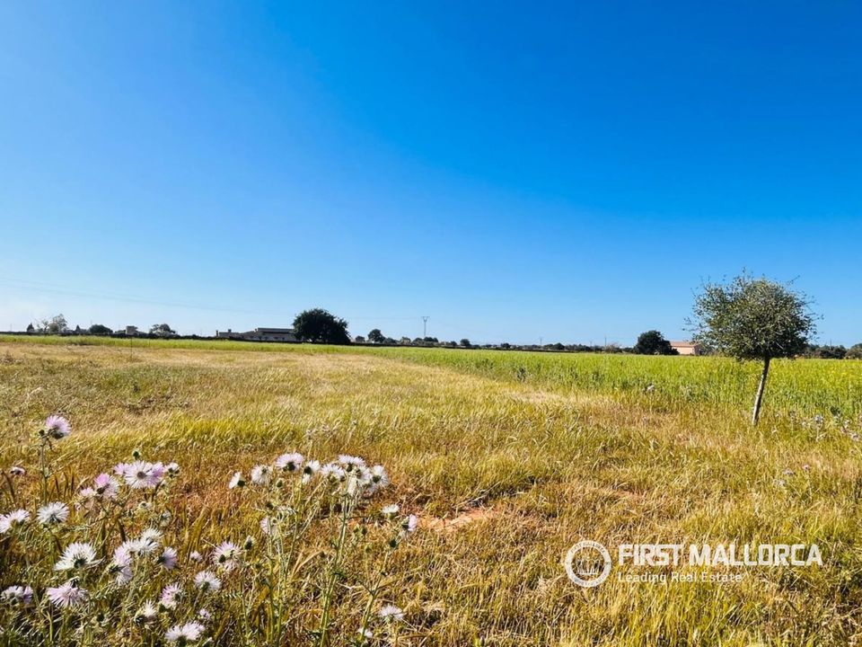 Helårsgrund i S'Horta (Felanitx), Mallorca - foto 3