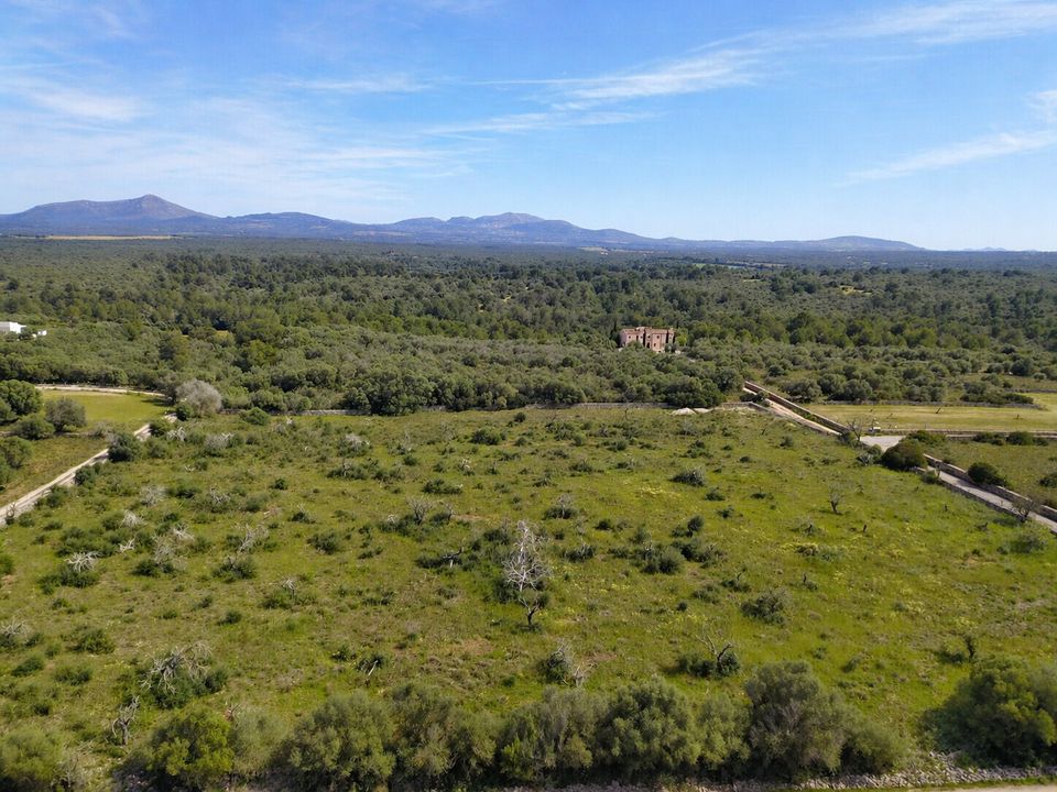 Helårsgrund i Santa Margalida, Mallorca - foto 2
