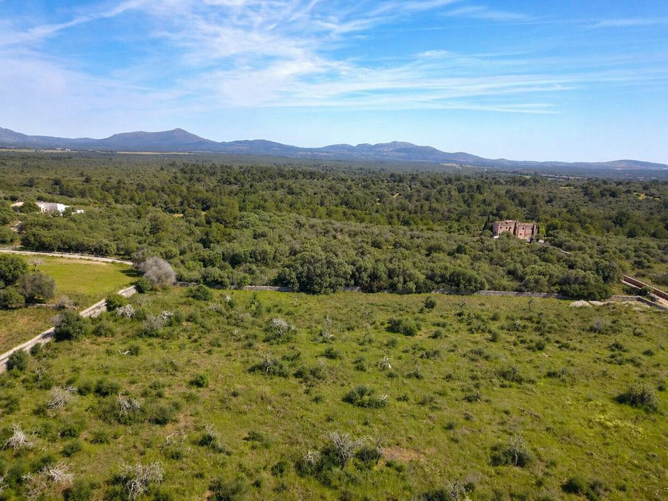 Helårsgrund i Santa Margalida, Mallorca - foto 3