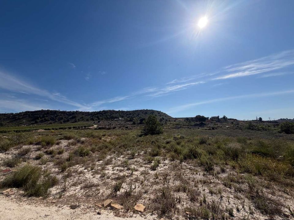 Helårsgrund i Torremendo, Alicante - foto 3
