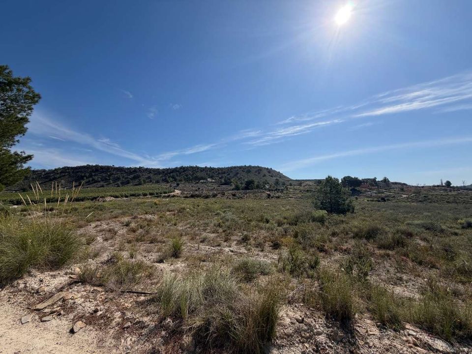 Helårsgrund i Torremendo, Alicante - foto 4