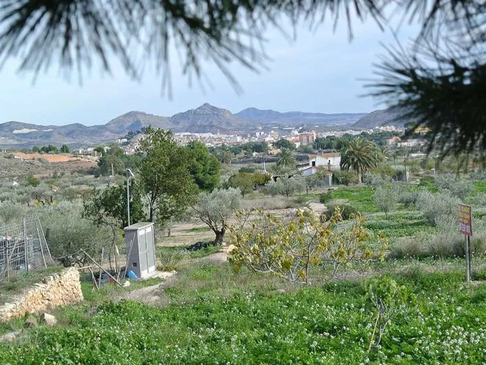Landejendom i Monovar, Alicante - foto 3