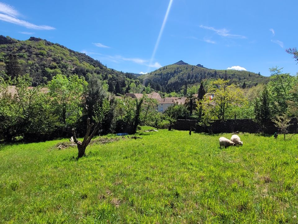 Villa i Lamalou-les-Bains, Herault - foto 4