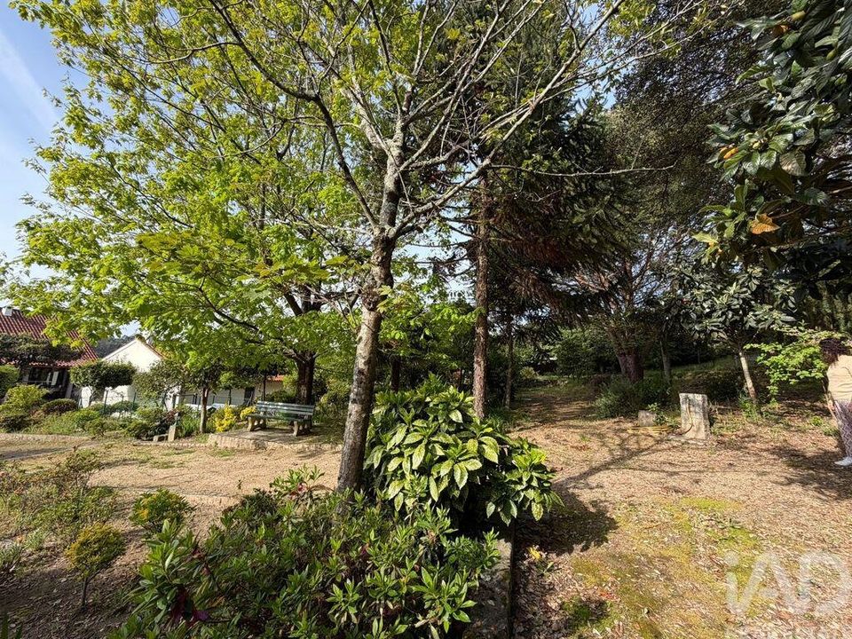 Tomt i Barcelos, Braga - bilde 4