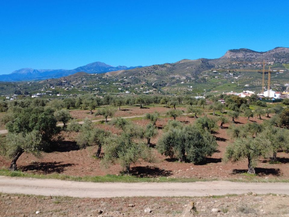 Helårsgrund i Alora, Malaga - foto 2