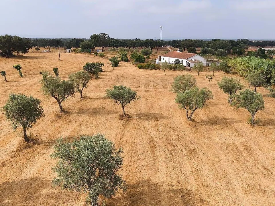Farm hus i Odemira, Beja - foto 5