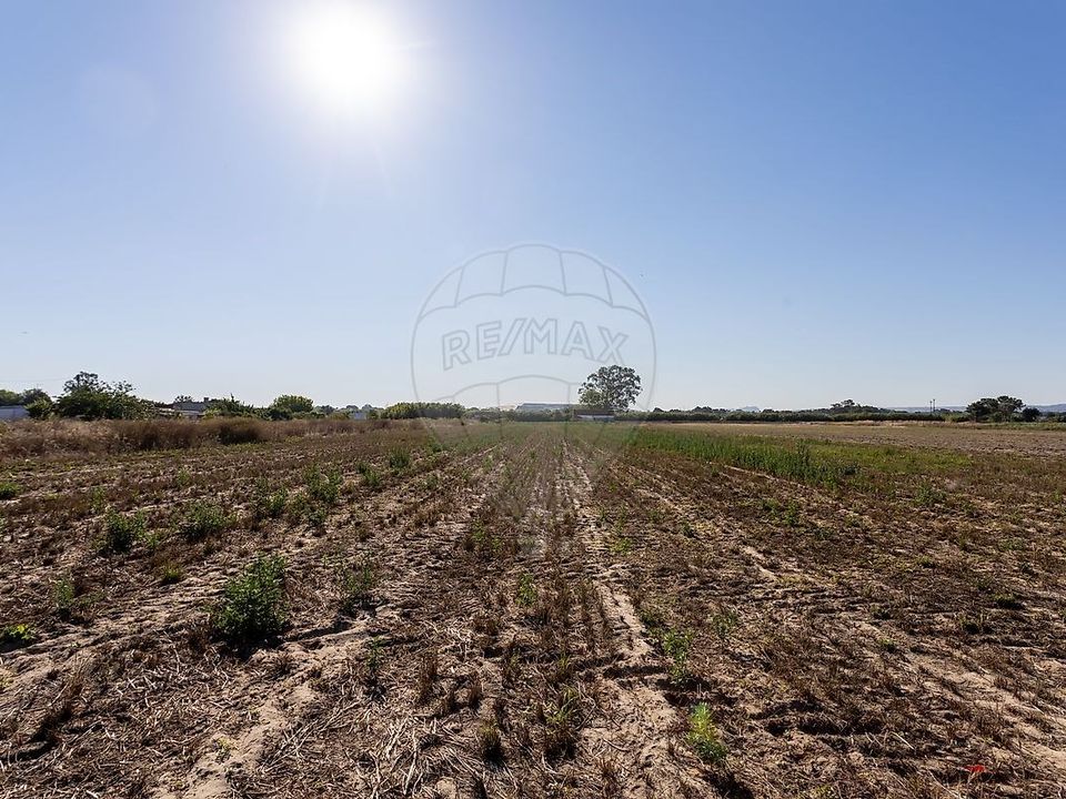Farm hus i Moita, Setubal - foto 2