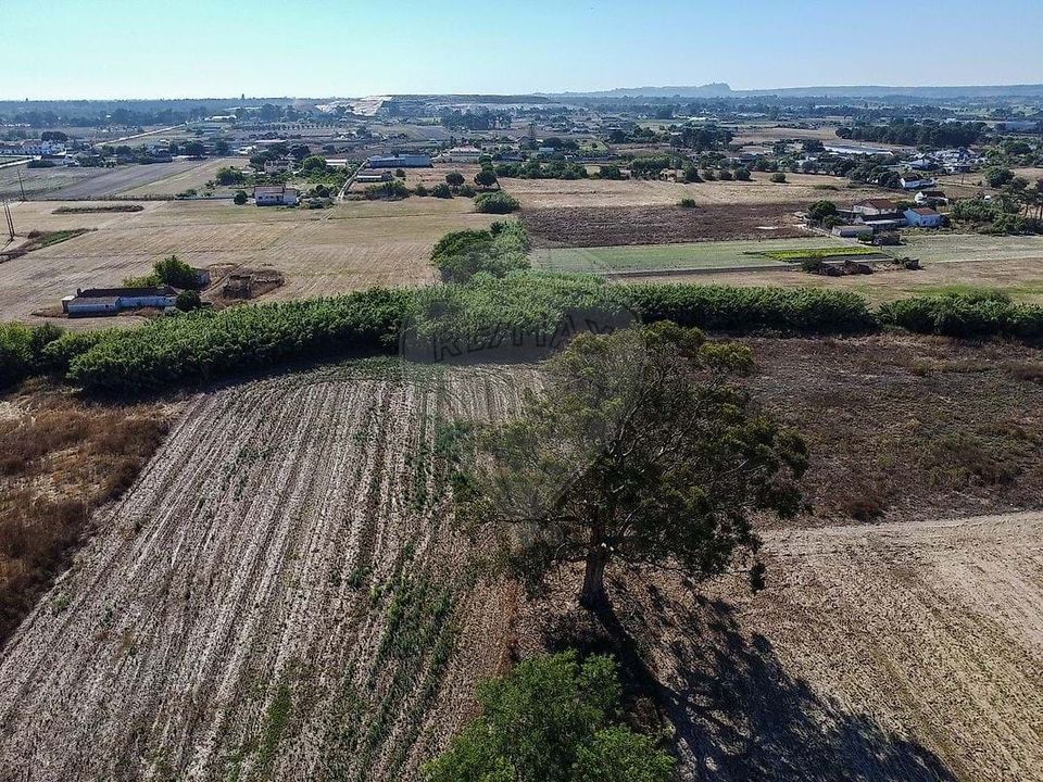 Farm hus i Moita, Setubal - foto 5