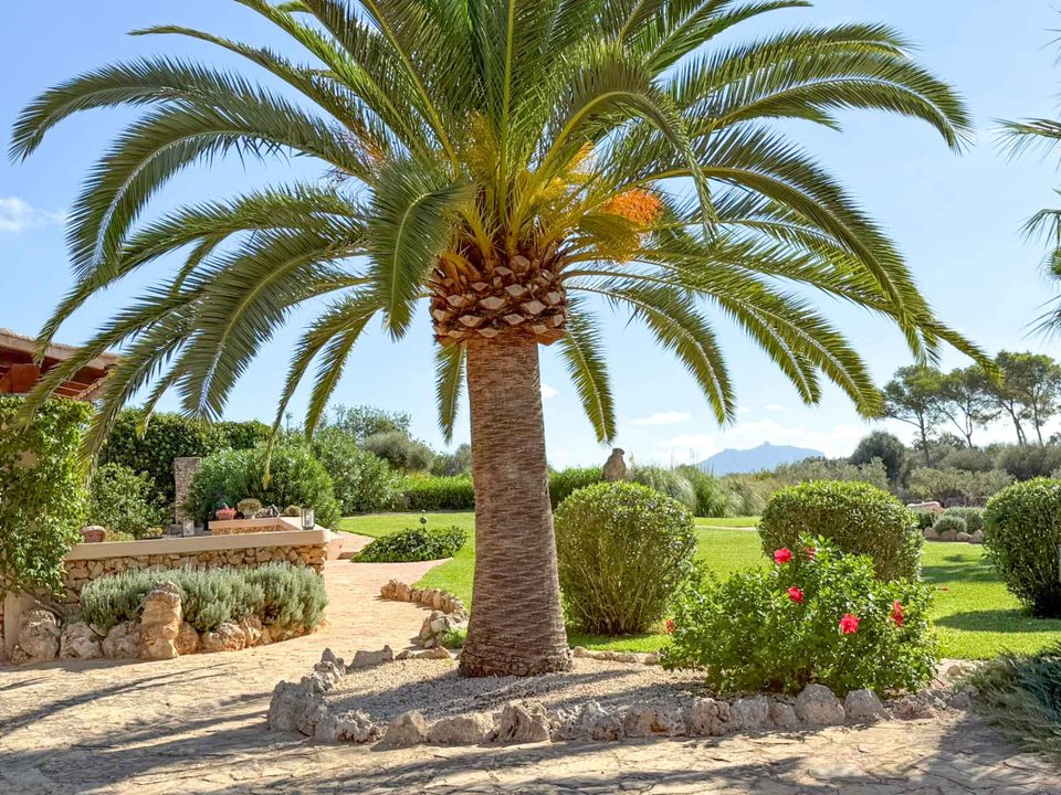 Landejendom i Felanitx, Mallorca - foto 5