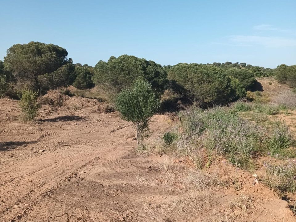 Tomt i Ayamonte, Huelva - bilde 1