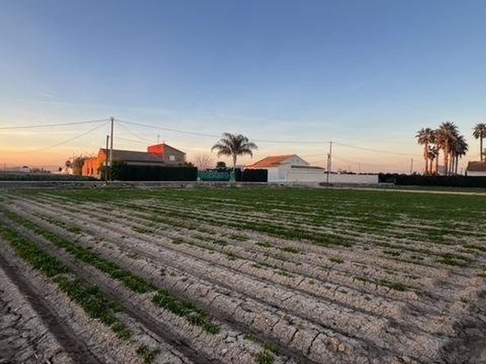 Helårsgrund i Dolores, Alicante - foto 2