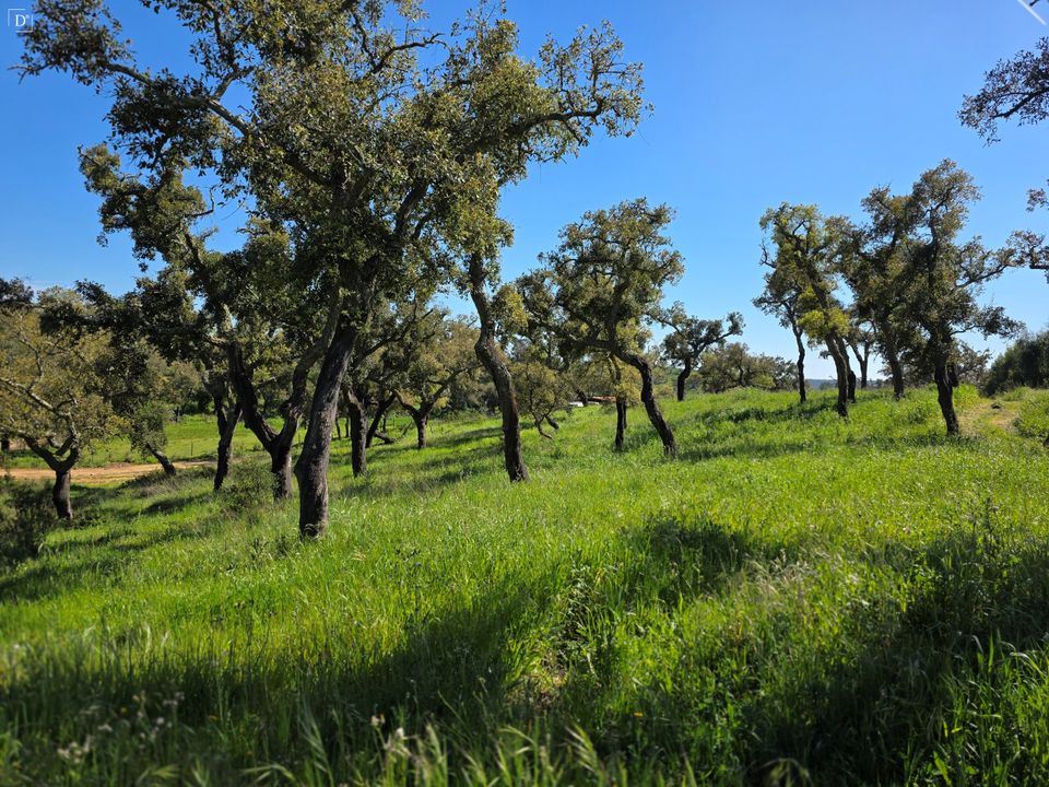 Villa i Odemira, Beja - foto 3