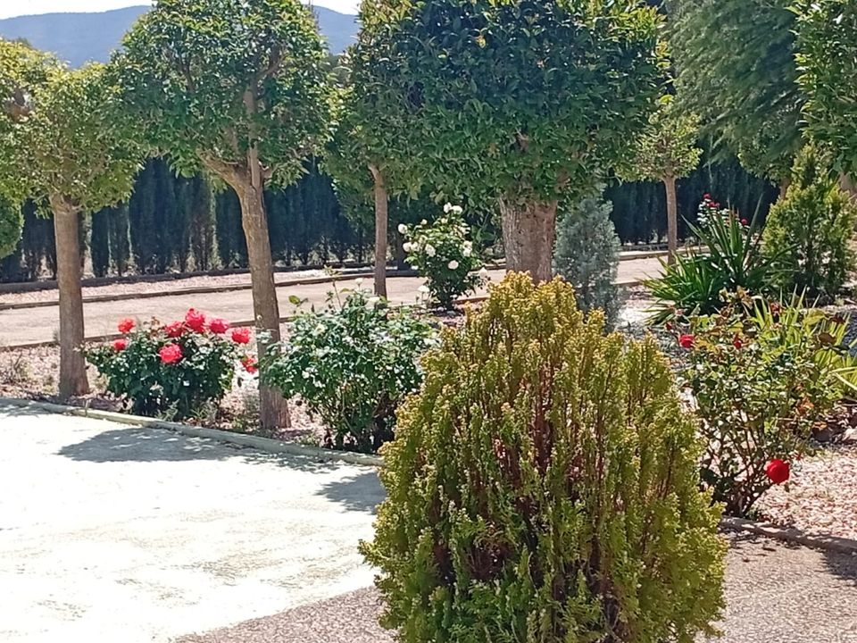 Landejendom i Salinas, Alicante - foto 3