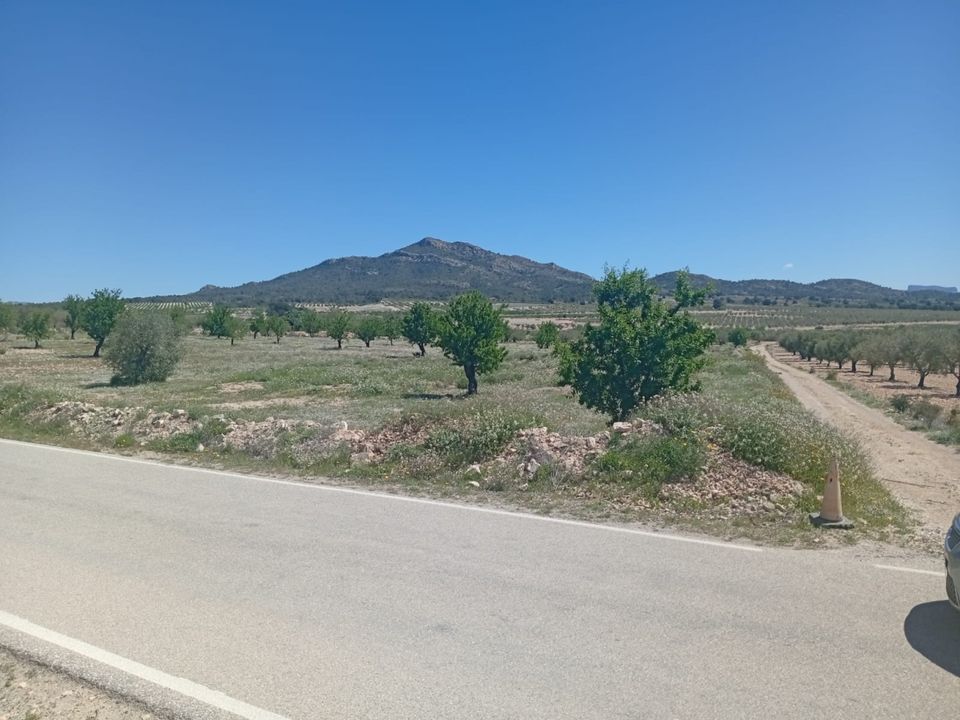 Tomt i Salinas, Alicante - bilde 1