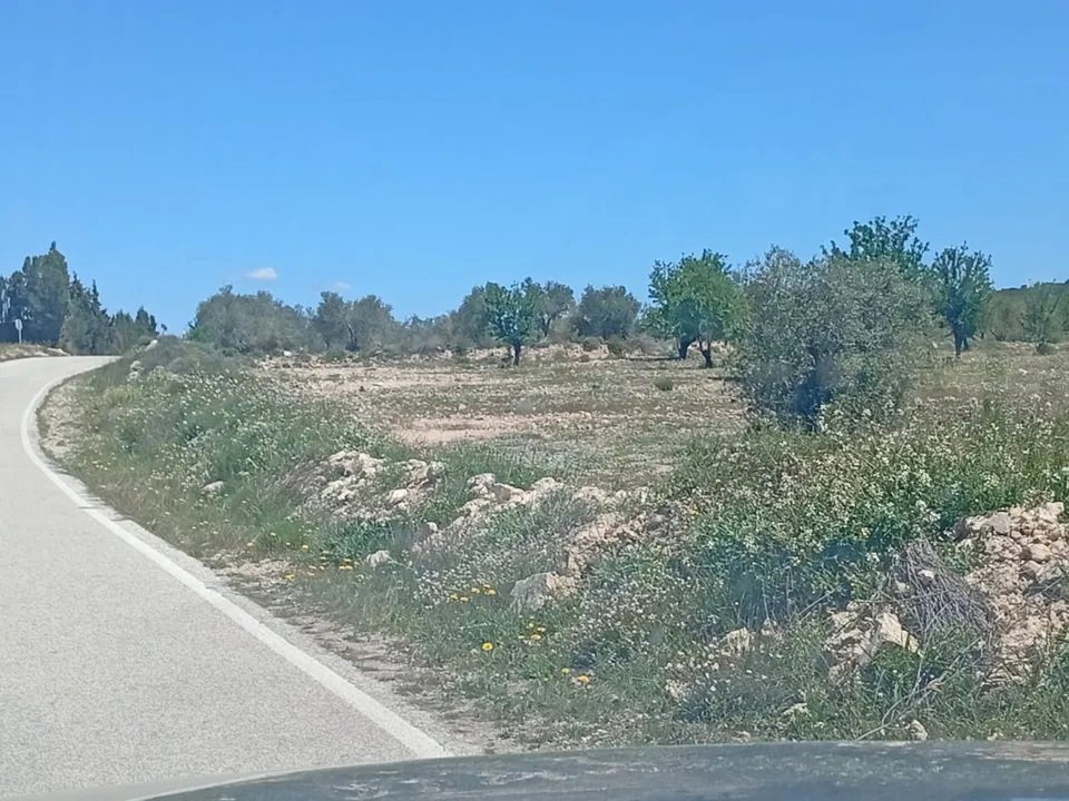 Tomt i Salinas, Alicante - bilde 2