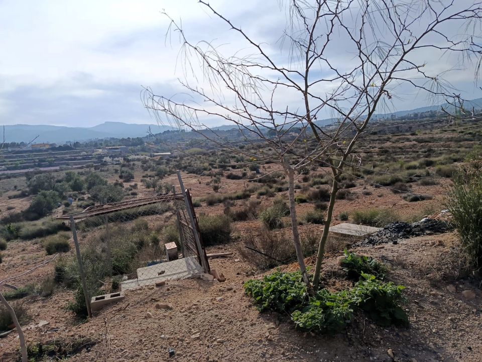 Cave house i Monovar, Alicante - foto 3