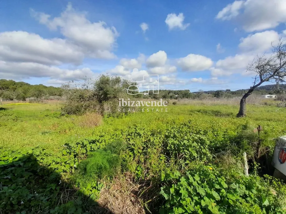 Finca i Santa Agnes de Corona, Ibiza - foto 1