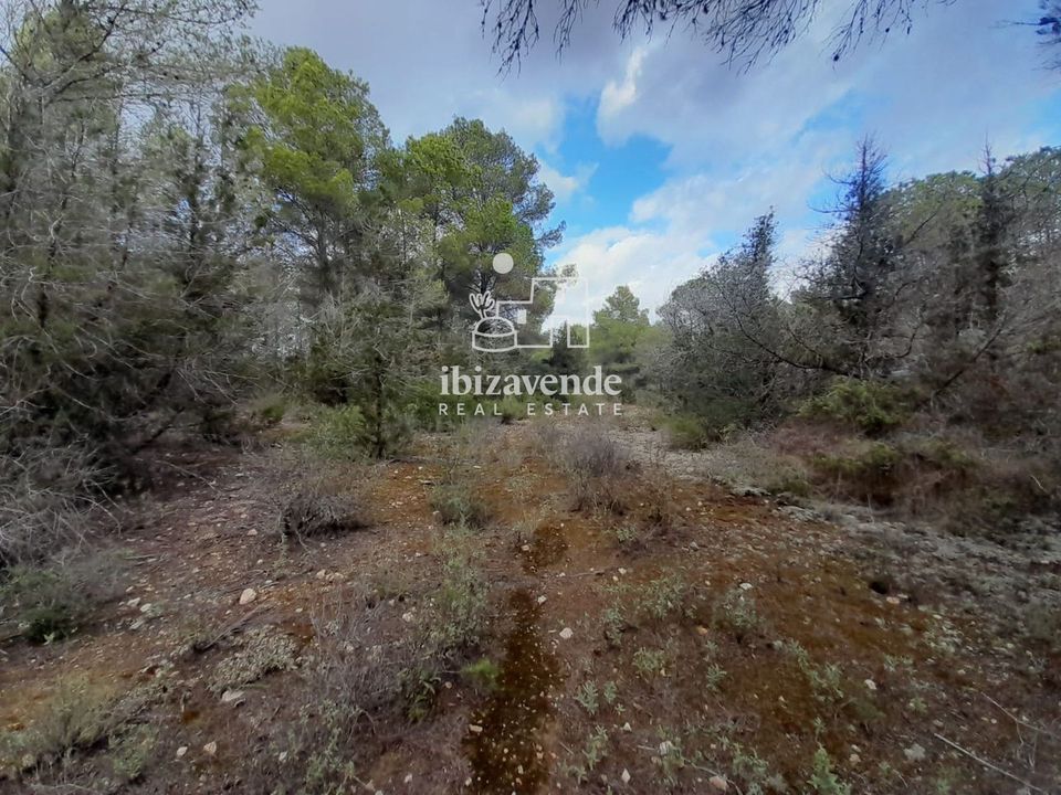 Finca i Santa Agnes de Corona, Ibiza - foto 3