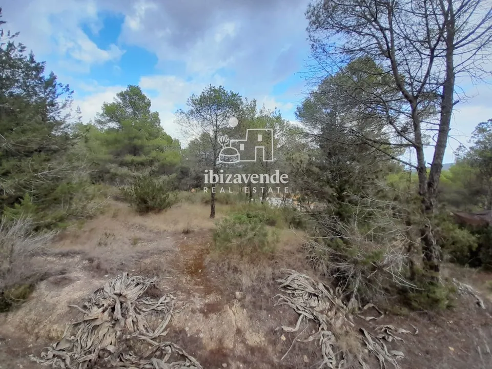 Finca i Santa Agnes de Corona, Ibiza - foto 4