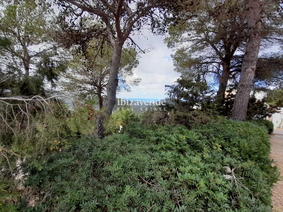 Finca i Santa Agnes de Corona, Ibiza - foto 5
