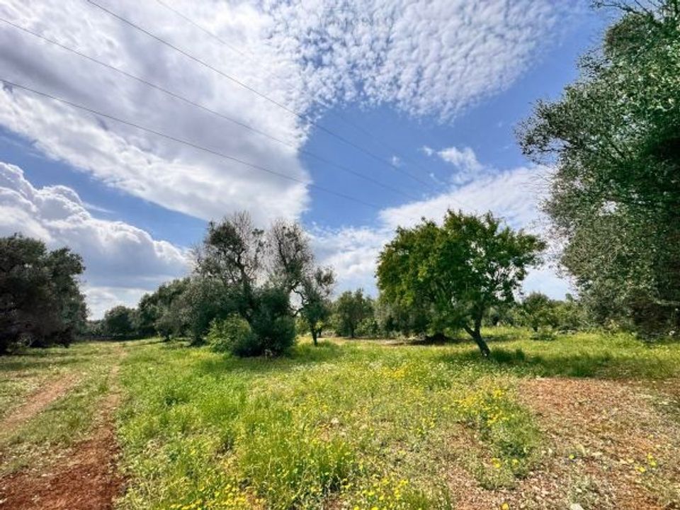 Helårsgrund i Carovigno, Brindisi - foto 2