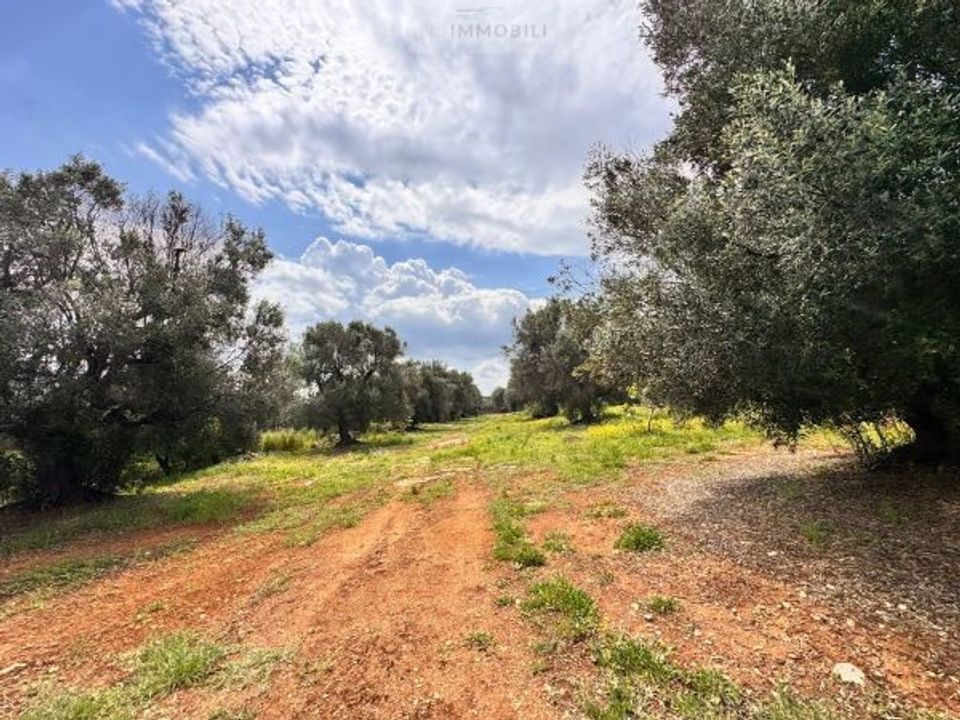 Helårsgrund i Carovigno, Brindisi - foto 3