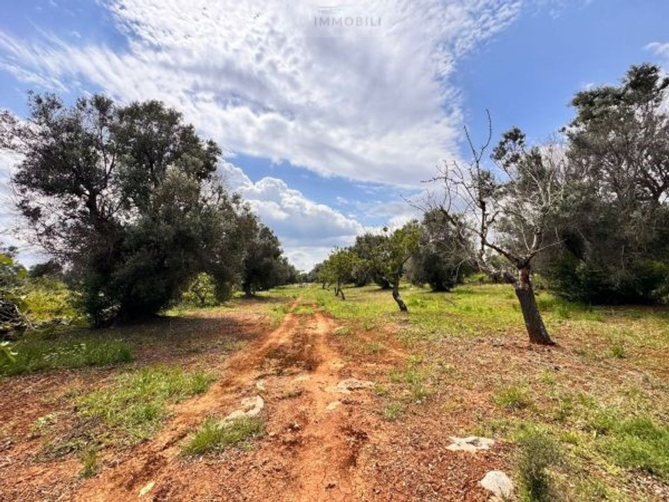 Helårsgrund i Carovigno, Brindisi - foto 1