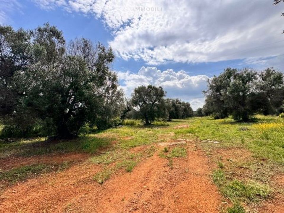 Helårsgrund i Carovigno, Brindisi - foto 4