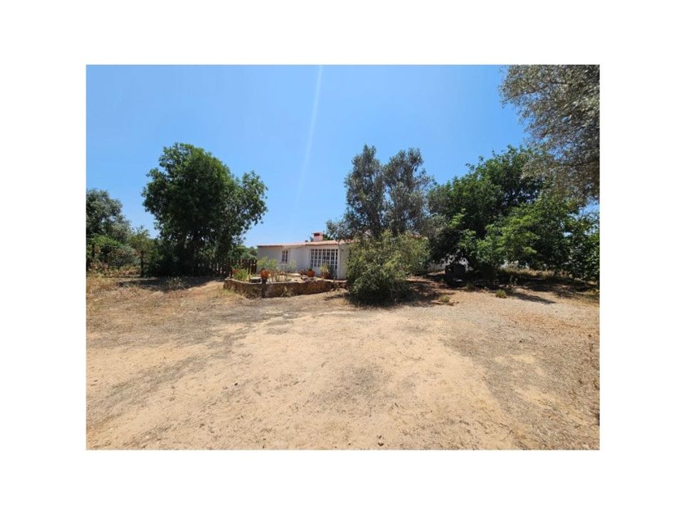 Farm i Silves, Faro - foto 2