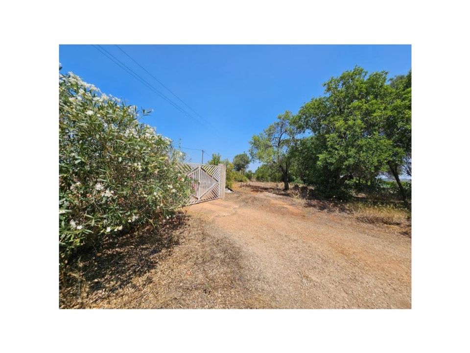 Farm i Silves, Faro - foto 4
