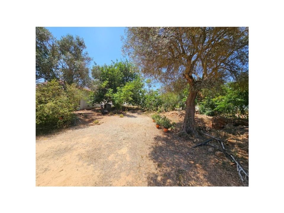 Farm i Silves, Faro - foto 5