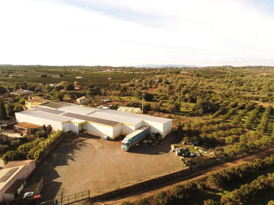 Erhvervsejendom i Silves, Faro - foto 1