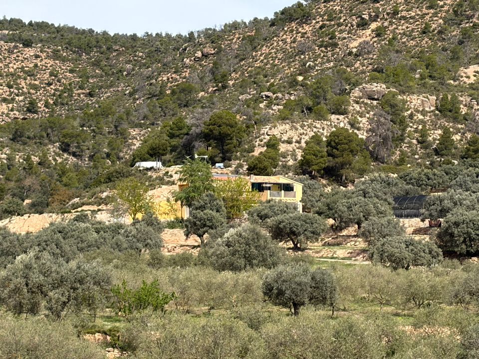 Landejendom i Flix, Tarragona - foto 1