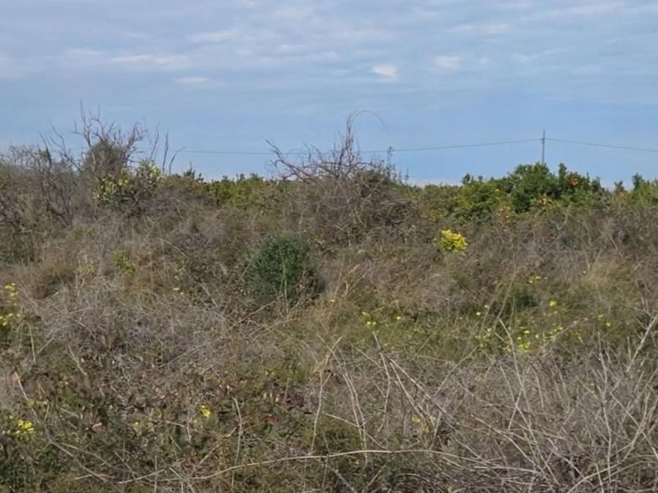 Helårsgrund i Gandia, Valencia - foto 4