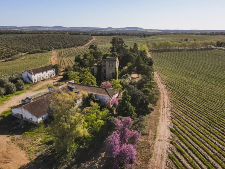 Farm i Sousel, Portalegre - foto 1