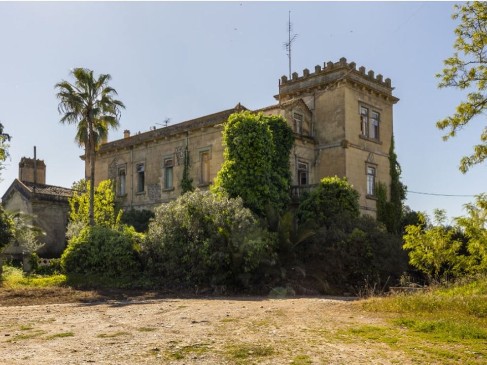 Farm i Sousel, Portalegre - foto 4