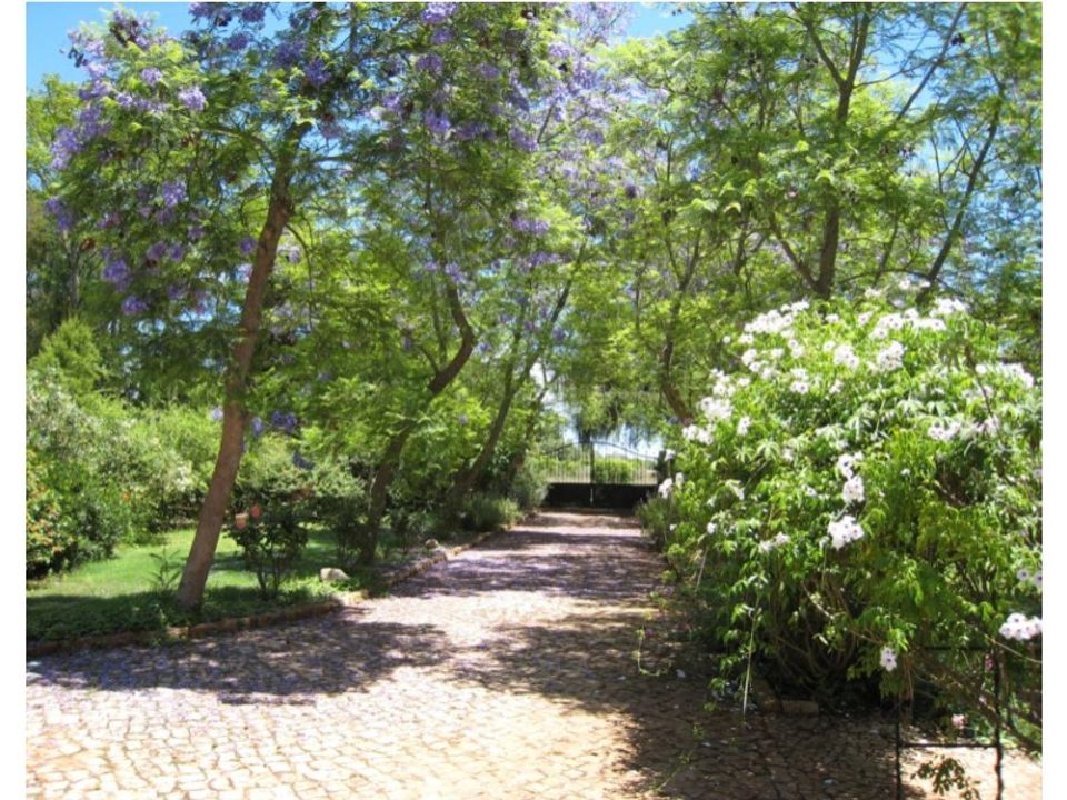 Villa i Algoz, Faro - foto 4