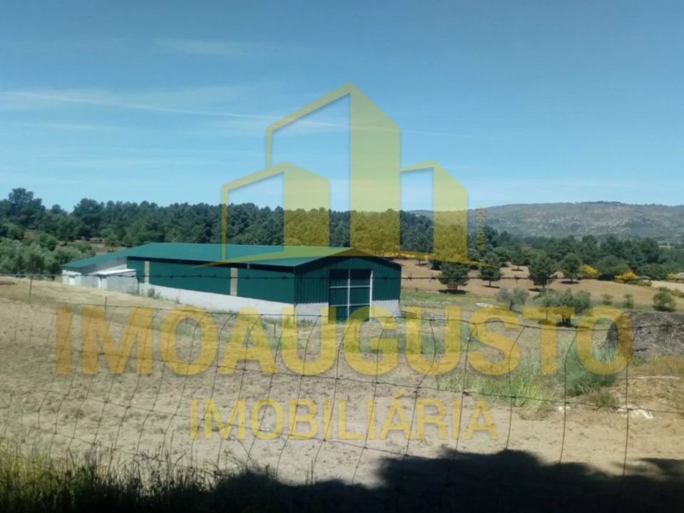 Farm i Celorico da Beira, Guarda - foto 2