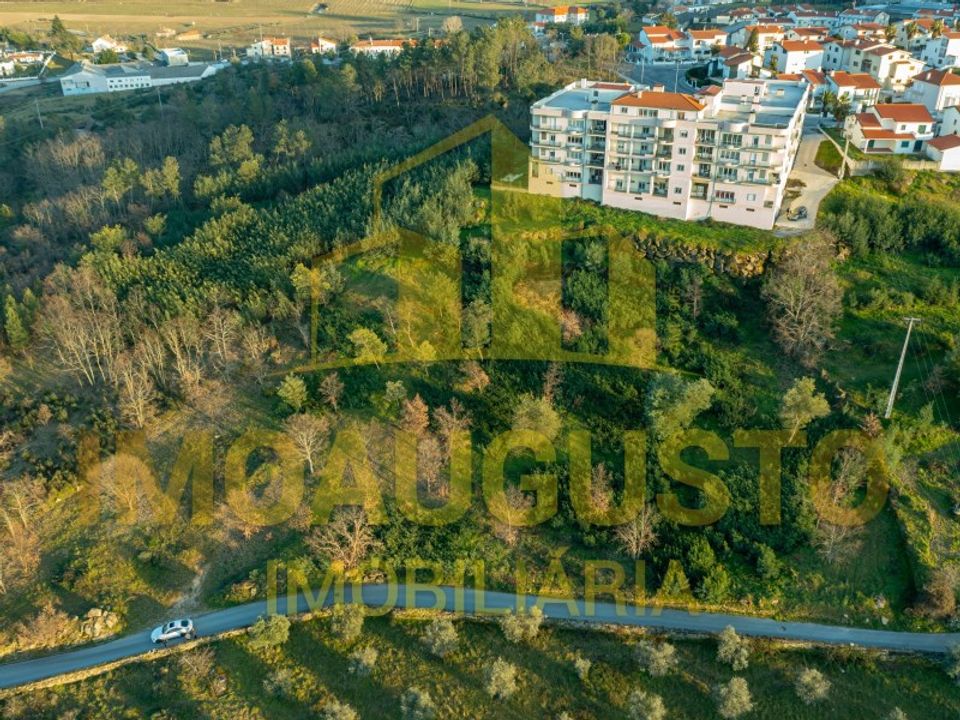 Helårsgrund i Belmonte, Castelo Branco - foto 1