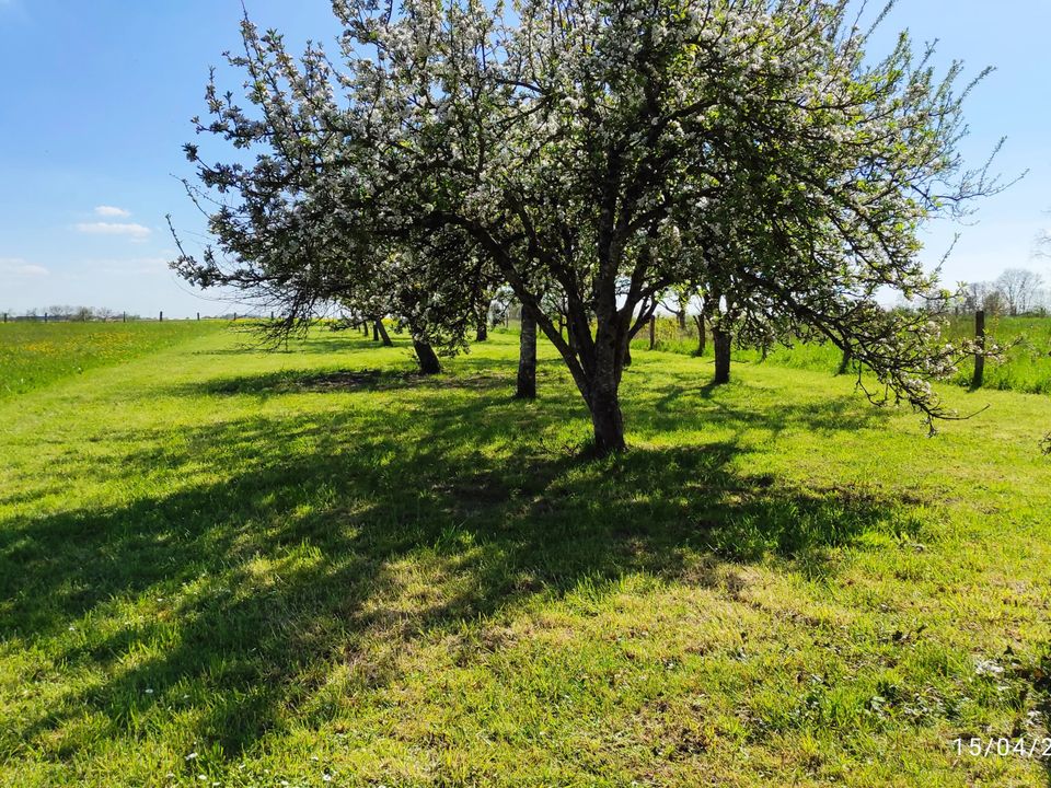 Helårsgrund i Sainte-Menehould, Marne - foto 1