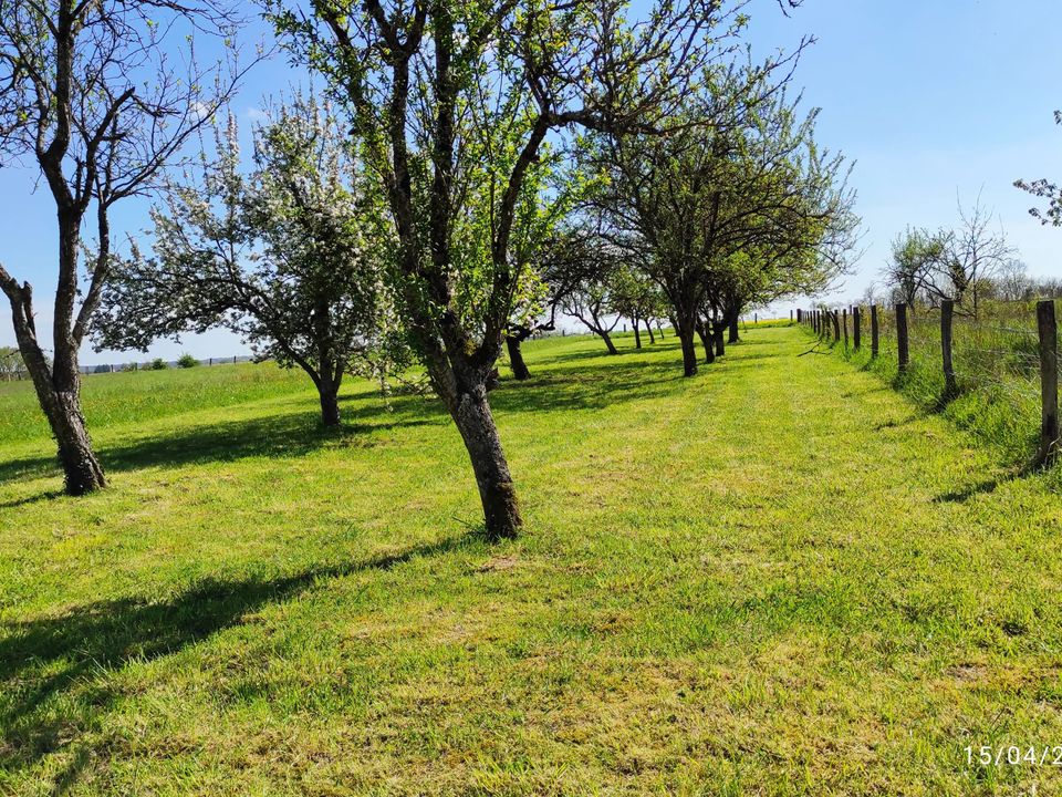 Helårsgrund i Sainte-Menehould, Marne - foto 2