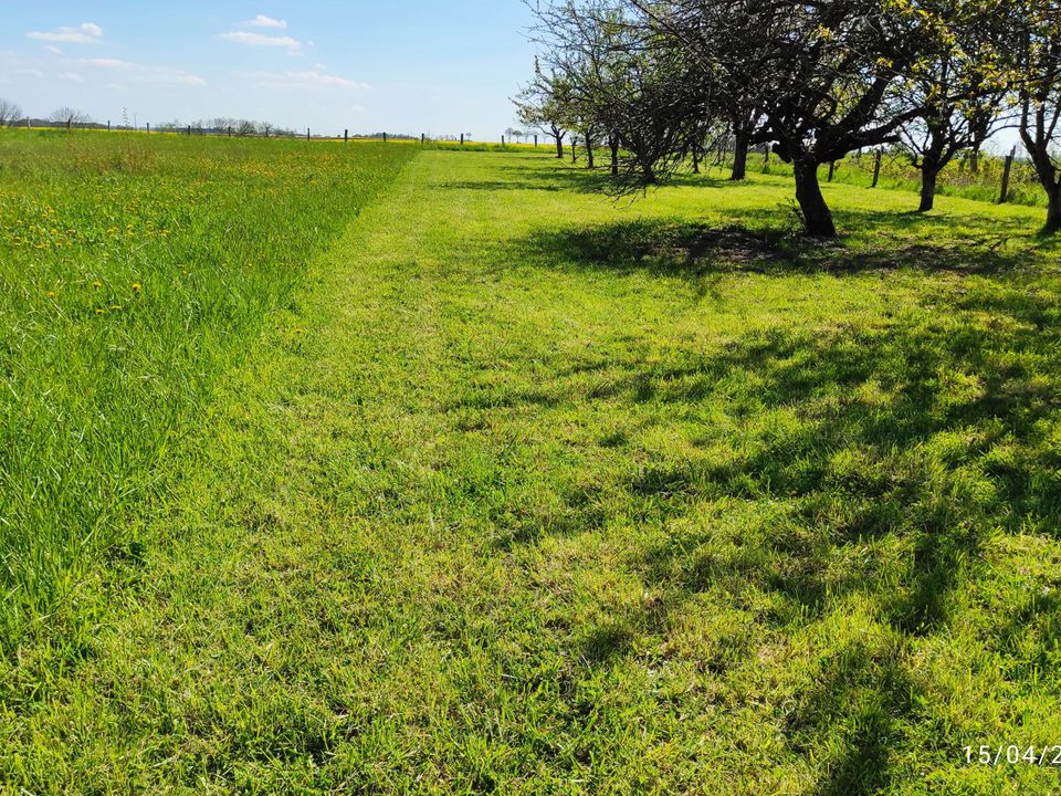 Helårsgrund i Sainte-Menehould, Marne - foto 3
