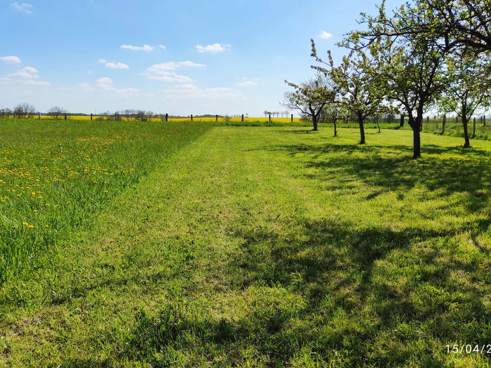 Helårsgrund i Sainte-Menehould, Marne - foto 4