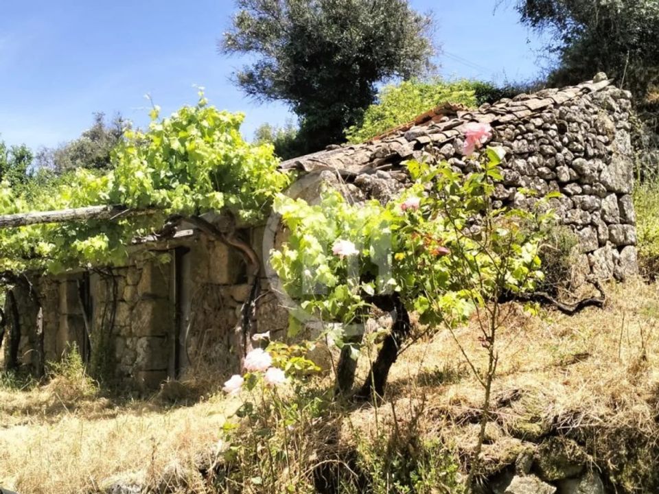 Helårsgrund i Celorico da Beira, Guarda - foto 1