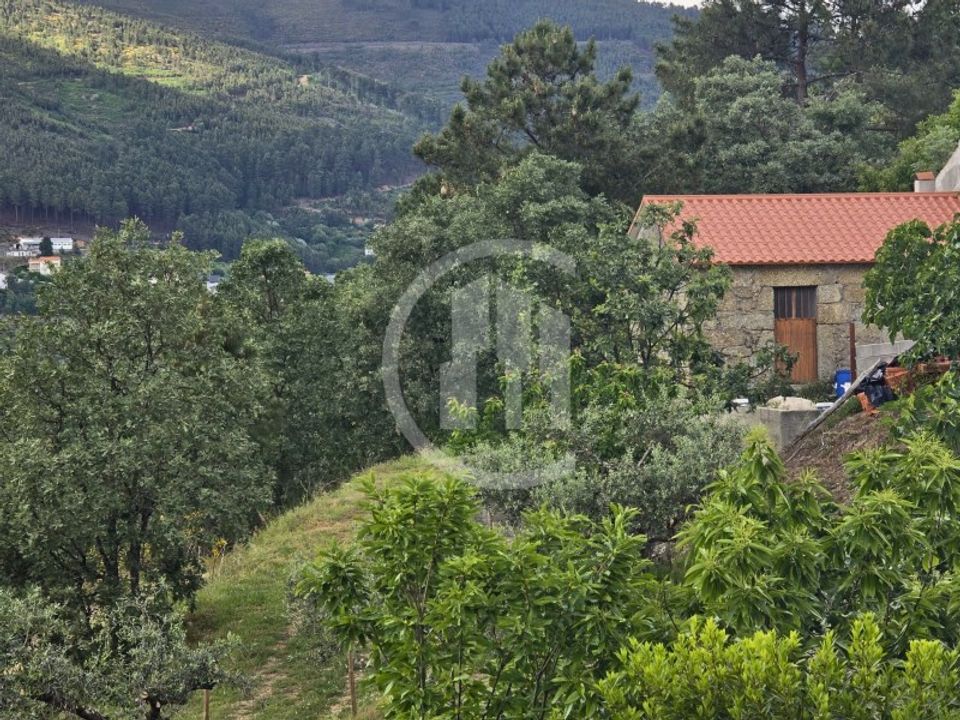 Farm i Teixoso, Castelo Branco - foto 1