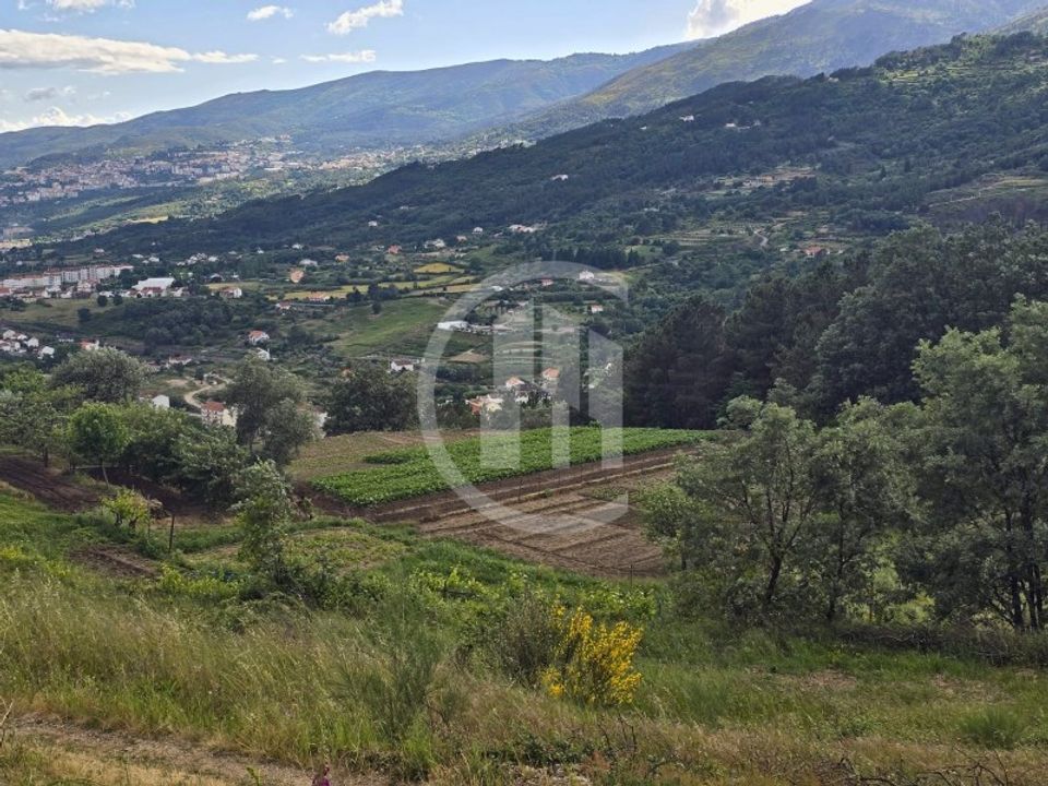 Farm i Teixoso, Castelo Branco - foto 2