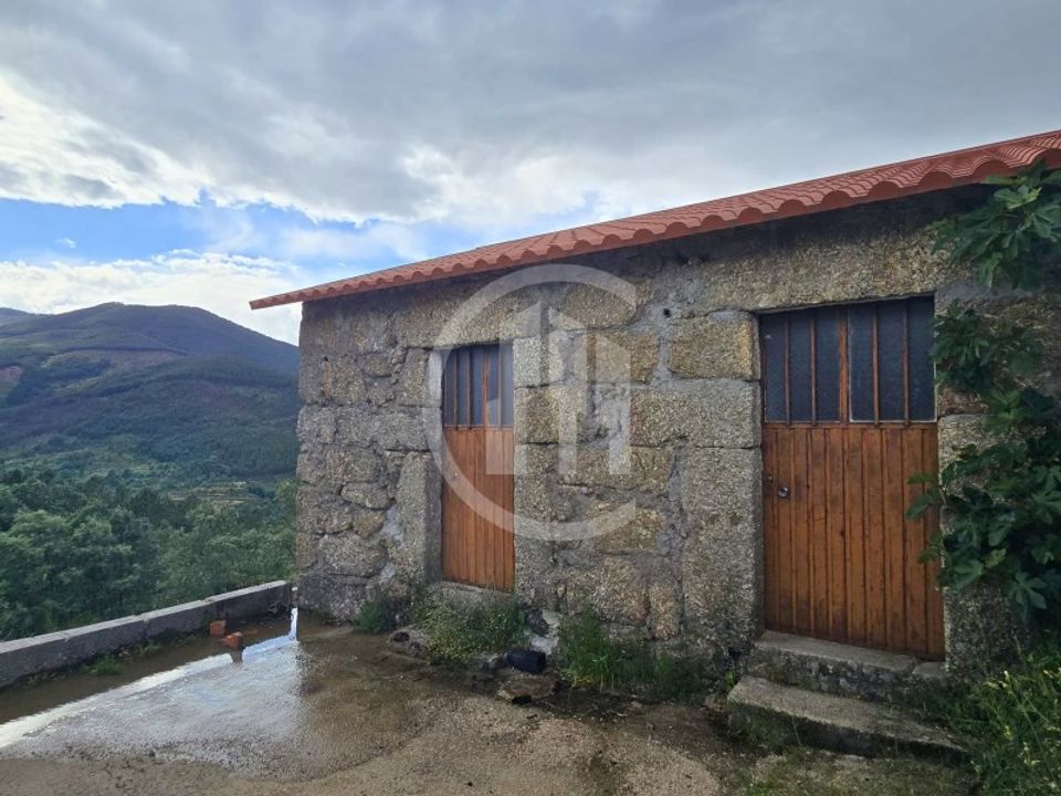 Farm i Teixoso, Castelo Branco - foto 3