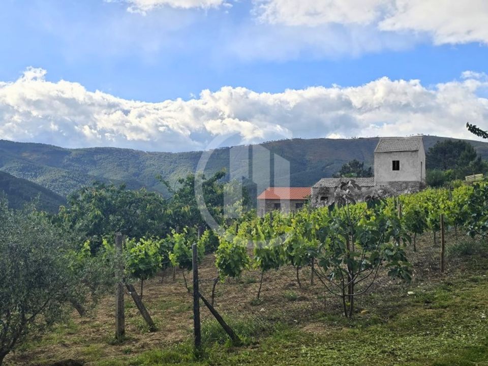 Farm i Teixoso, Castelo Branco - foto 4