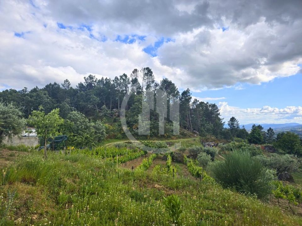 Farm i Teixoso, Castelo Branco - foto 5