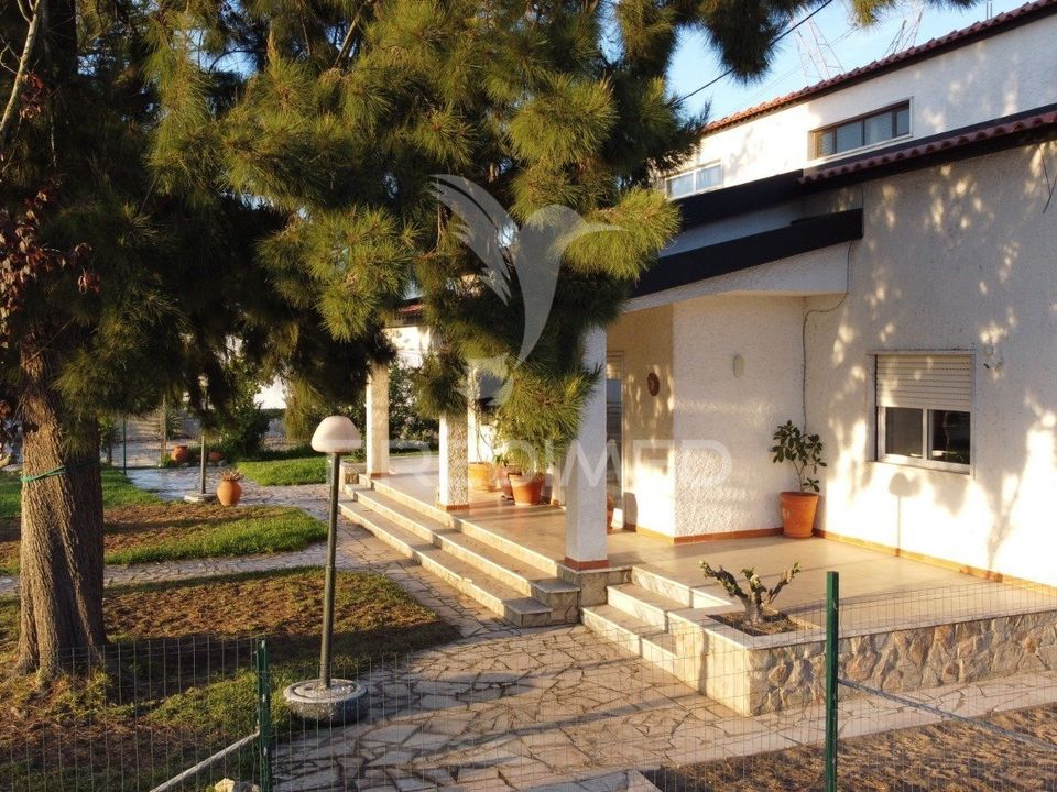 Byhus i Benavente, Santarem - foto 5